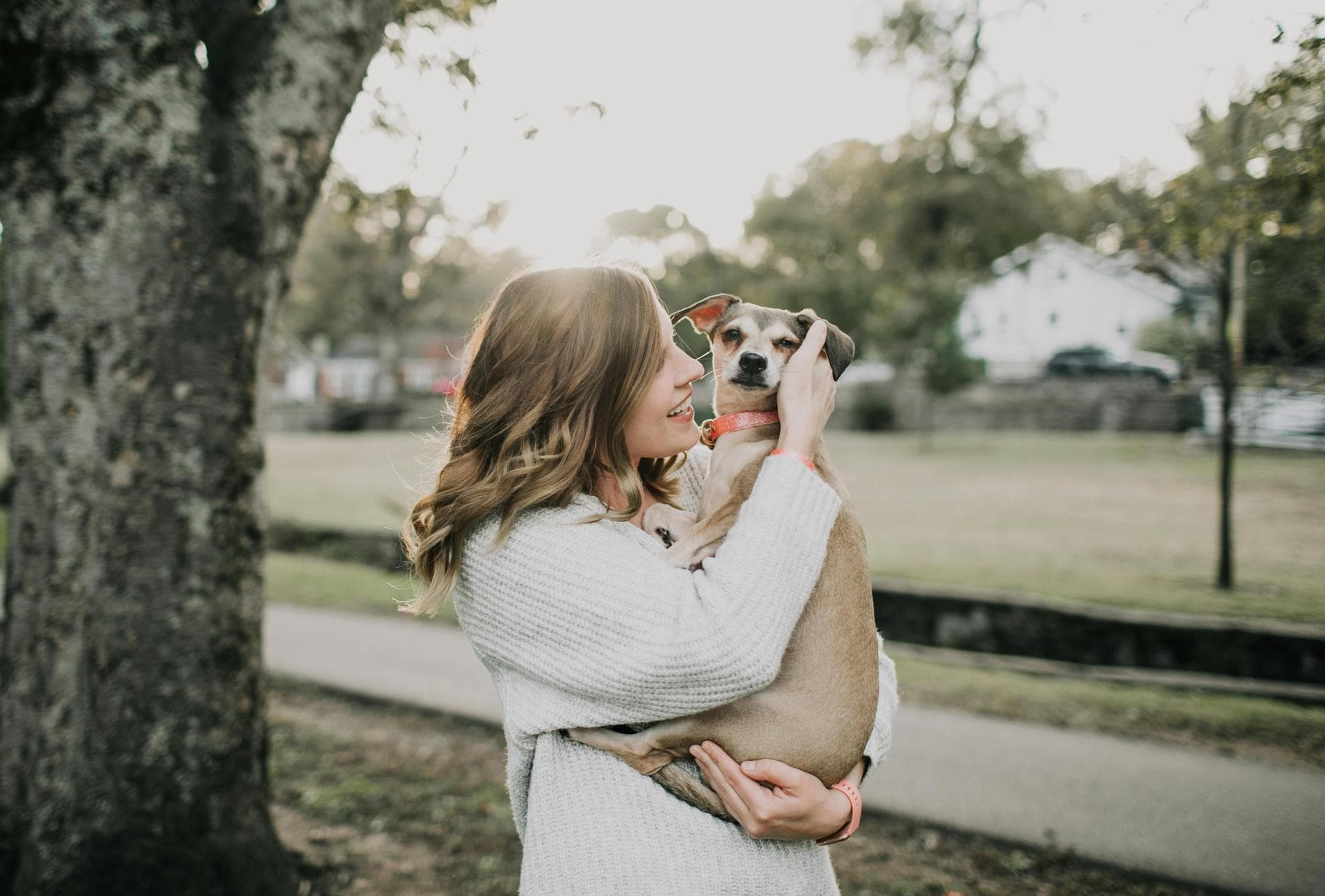Pet Microchipping Prices in Chelsea
